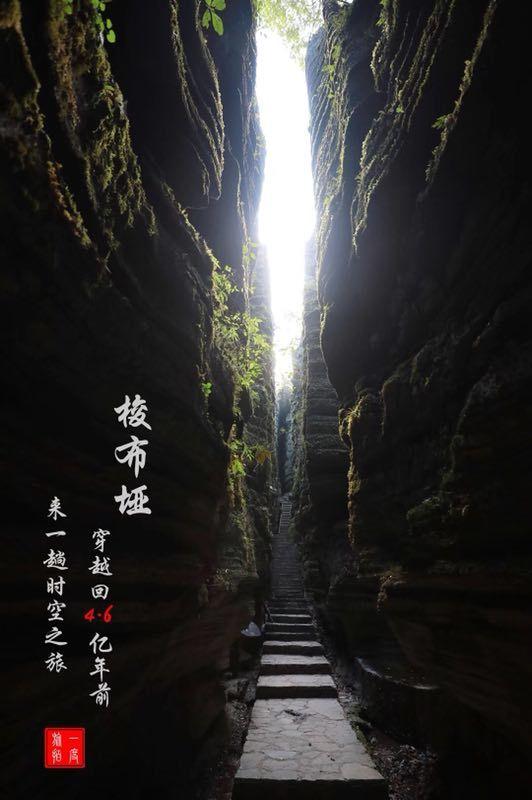 厨房顽固油污怎样才能清除？游戏画面