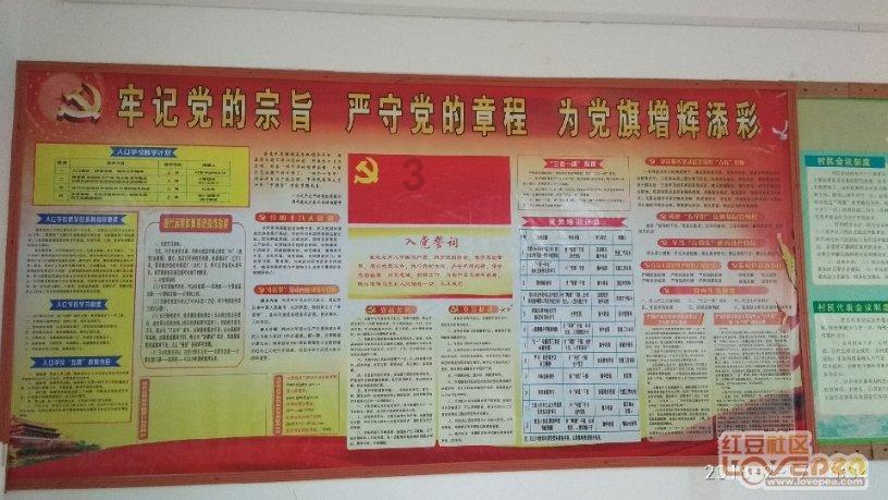 全民烧脑3去广告版
